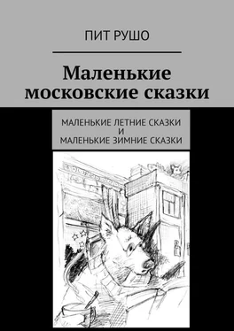 Пит Рушо Маленькие московские сказки. Маленькие летние сказки и маленькие зимние сказки обложка книги