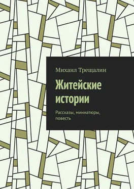 Михаил Трещалин Житейские истории. Рассказы, миниатюры, повесть обложка книги