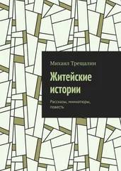 Михаил Трещалин - Житейские истории. Рассказы, миниатюры, повесть