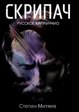 Степан Митяев Скрипач. Русское каприччио обложка книги