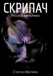 Степан Митяев - Скрипач. Русское каприччио