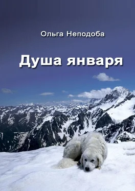 Ольга Неподоба Душа января обложка книги