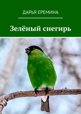 Дарья Еремина Зелёный снегирь обложка книги