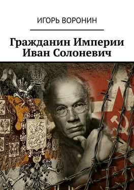 Игорь Воронин Гражданин Империи Иван Солоневич обложка книги