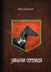Вита Горностай - Забытая серенада