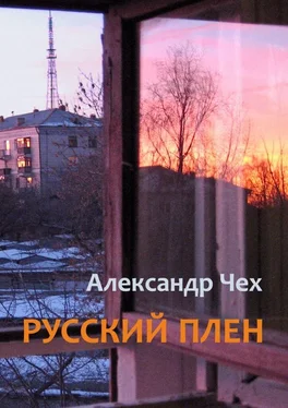 Александр Чех Русский плен. Невыдуманные истории обложка книги