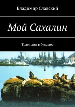 Владимир Славский Мой Сахалин. Трамплин в будущее обложка книги