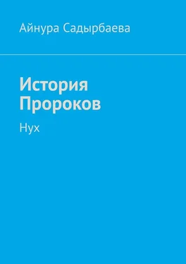 Айнура Садырбаева История Пророков. Нух обложка книги