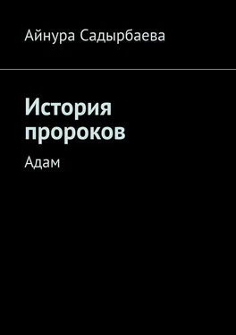 Айнура Садырбаева История пророков. Адам обложка книги