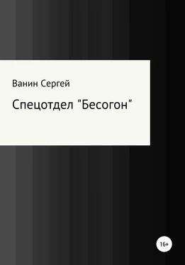 Сергей Ванин Спецотдел «Бесогон» обложка книги