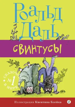 Роальд Даль Свинтусы обложка книги