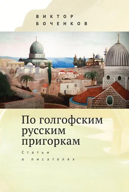 Виктор Боченков По голгофским русским пригоркам. Статьи о писателях обложка книги