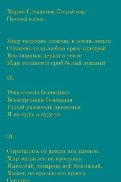 Мария Степанова Старый мир. Починка жизни обложка книги