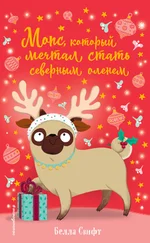 Белла Свифт - Мопс, который мечтал стать северным оленем