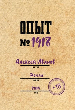 Алексей Иванов Опыт № 1918 обложка книги