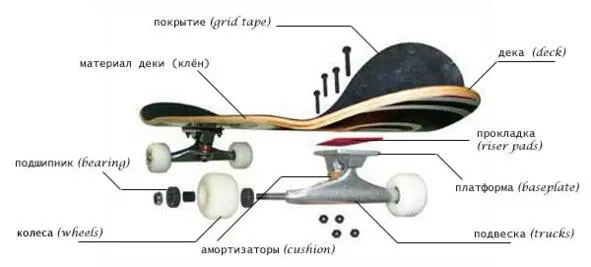 рис1 из чего состоит скейтборд httpsclckruHeVoj Скейтборд - фото 3