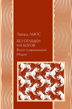 Эдвард Льюс Без оглядки на богов. Взлет современной Индии обложка книги