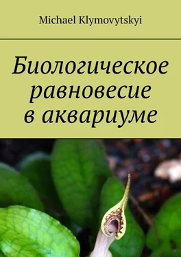 Michael Klymovytskyi Биологическое равновесие в аквариуме обложка книги