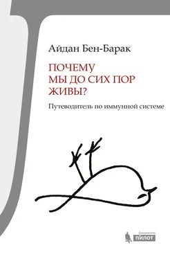 Айдан Бен-Барак Почему мы до сих пор живы? Путеводитель по иммунной системе