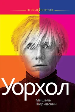 Мишель Нюридсани Уорхол обложка книги