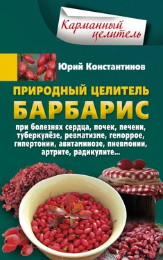 Юрий Константинов Природный целитель барбарис. При болезнях сердца, почек, печени, туберкулёзе, ревматизме, геморрое, гипертонии, авитаминозе, пневмонии, артрите, радикулите обложка книги