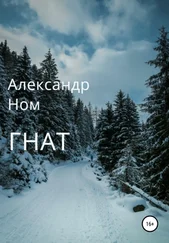 Александр Ном - Гнат
