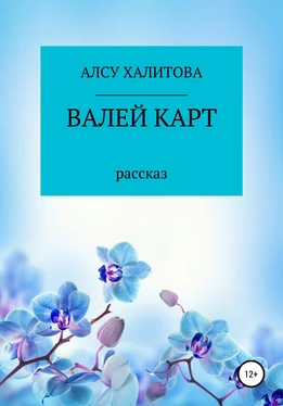 Алсу Халитова Валей карт обложка книги