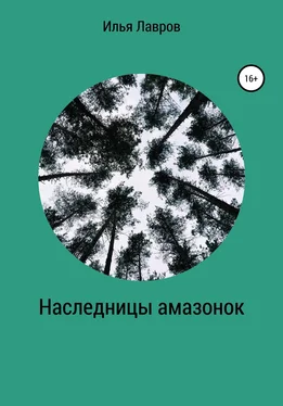 Илья Лавров Наследницы амазонок обложка книги