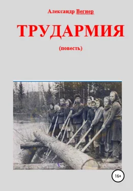 Александр Вегнер Трудармия обложка книги