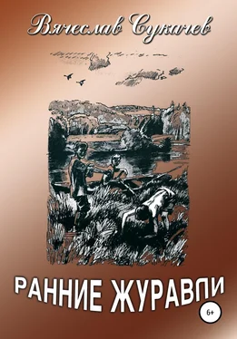 Вячеслав Сукачев Ранние журавли