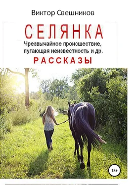 Виктор Свешников Селянка обложка книги
