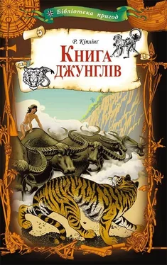 Редьярд Кіплінґ Книга джунглів обложка книги