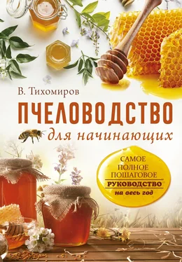 Вадим Тихомиров Пчеловодство для начинающих. Самое понятное пошаговое руководство на весь год обложка книги