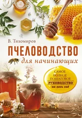 Вадим Тихомиров - Пчеловодство для начинающих. Самое понятное пошаговое руководство на весь год