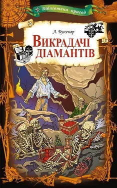 Луї Буссенар Викрадачі діамантів обложка книги