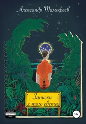 Александр Тимофеев - Записки с того света