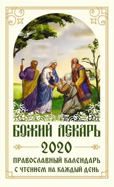 Коллектив авторов Божий лекарь. Православный календарь на 2020 год с чтением на каждый день обложка книги
