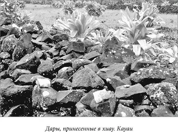 Обычная форма подношения состояла из еды и называлась мохаиа Гавайцы - фото 13
