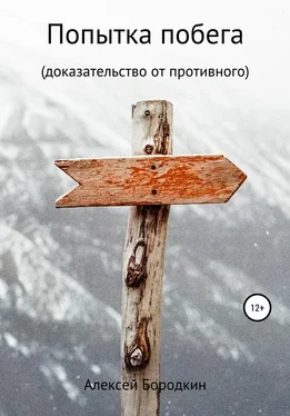 Алексей Бородкин Попытка побега обложка книги