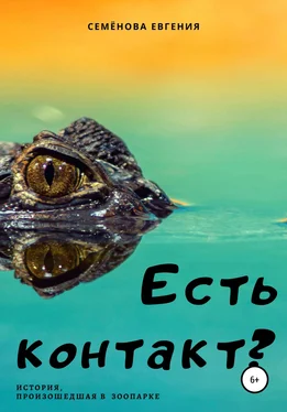 Евгения Семёнова Есть контакт? обложка книги