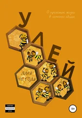 Лина Негода - Улей