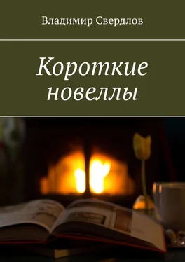 Владимир Свердлов Короткие новеллы обложка книги