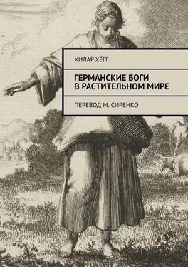 Хилар Хёгг Германские боги в растительном мире. Перевод М. Сиренко обложка книги