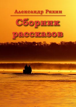 Александр Ряхин Сборник рассказов обложка книги