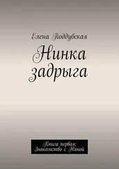 Елена Поддубская - Нинка задрыга. Книга первая - Знакомство с Ниной