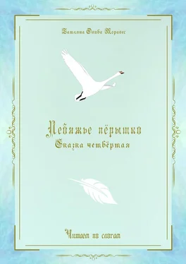 Татьяна Олива Моралес Лебяжье пёрышко. Сказка четвёртая. Читаем по слогам обложка книги