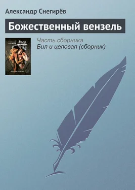 Александр Снегирёв Божественный вензель обложка книги