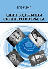Елена Виг - Один год жизни среднего возраста