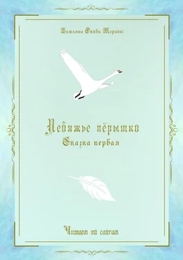 Татьяна Олива Моралес Лебяжье пёрышко. Сказка первая. Читаем по слогам обложка книги