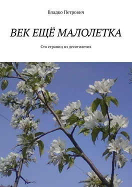 Владко Петрович Век ещё малолетка. Сто страниц из десятилетия обложка книги